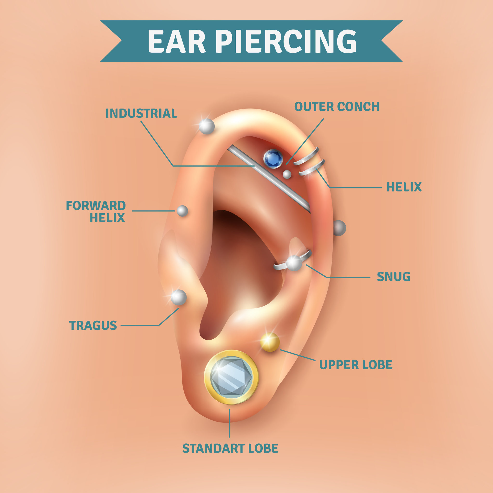 How Much Does It Cost to Get Your Ears Pierced? Pricing And Cost Data