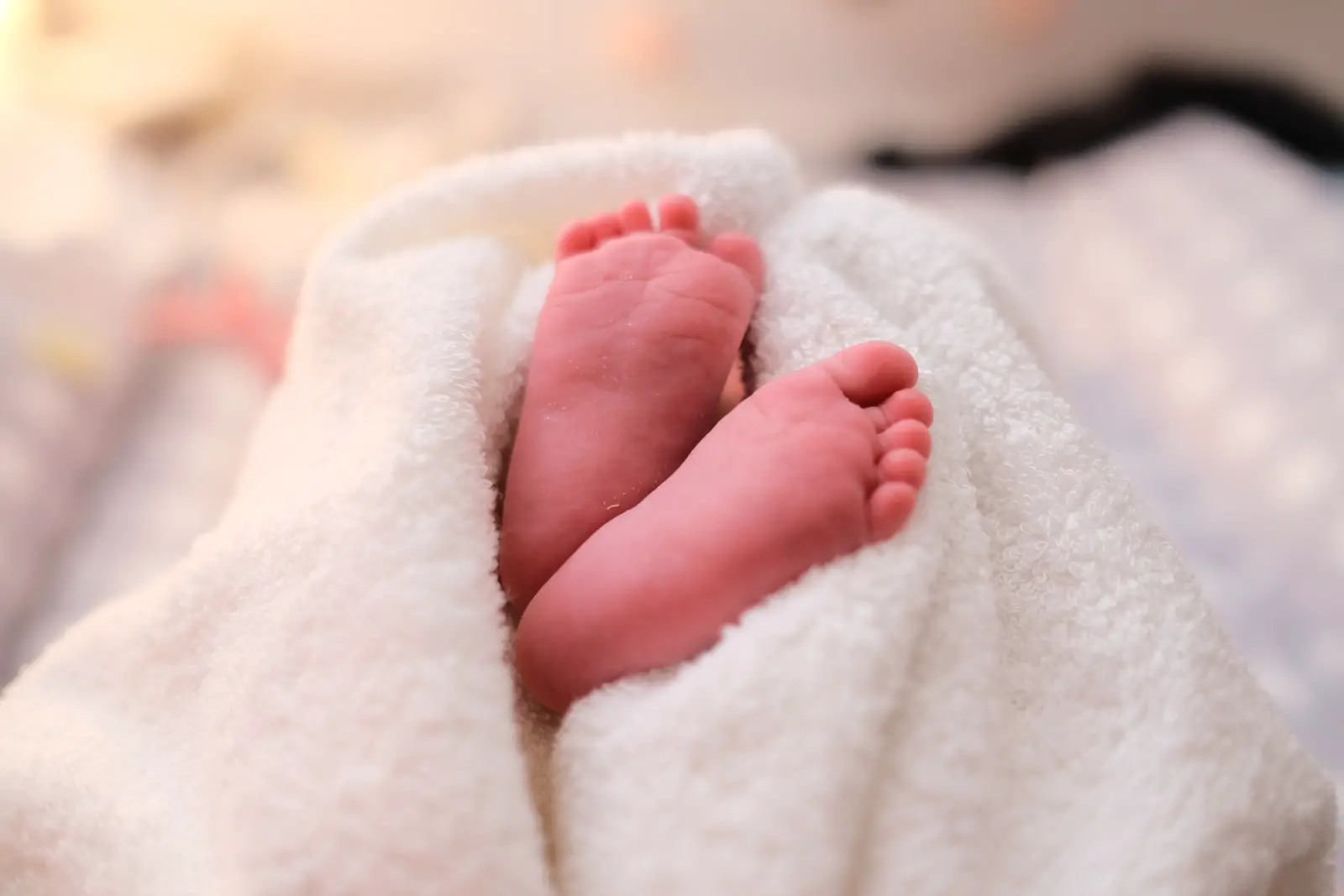 newborn photos cost